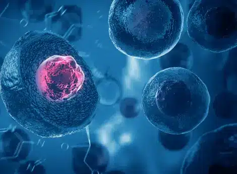 mesenchymal-stem-cells-mscs Microscopic 3D view of a blue cell cross-section revealing a glowing pink nucleus, demonstrating the dynamic signaling of Mesenchymal Stem Cells.