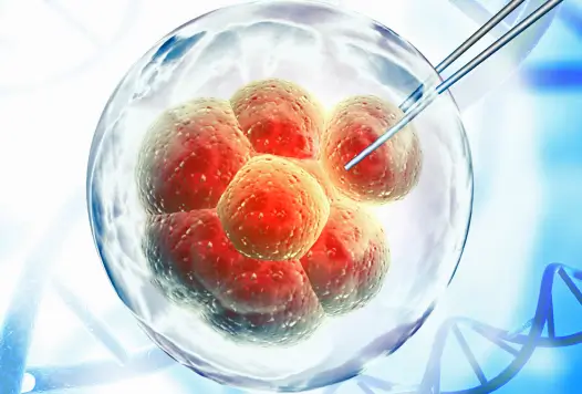 Microscopic cell cluster inside a transparent sphere probed by needles against a blue DNA background for paracrine cellular signaling study.