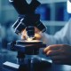 Close-up of a laboratory microscope being adjusted by a researcher to evaluate safety standards and conduct regenerative medicine lab testing.