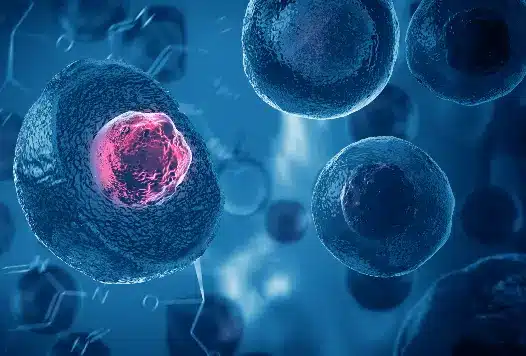 3D rendering of blue cells with a glowing pink nucleus among molecular shapes, symbolizing each patient's unique biology in genomic assessment to support regenerative medicine.