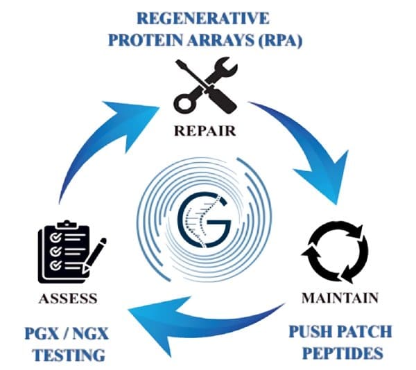genomics-testing-pgx-ngx-personalized-healths Genesis Roadmap to Health graphic pairing PGX/NGX genomic testing, Regenerative Protein Array repair, and Push Patch maintenance.